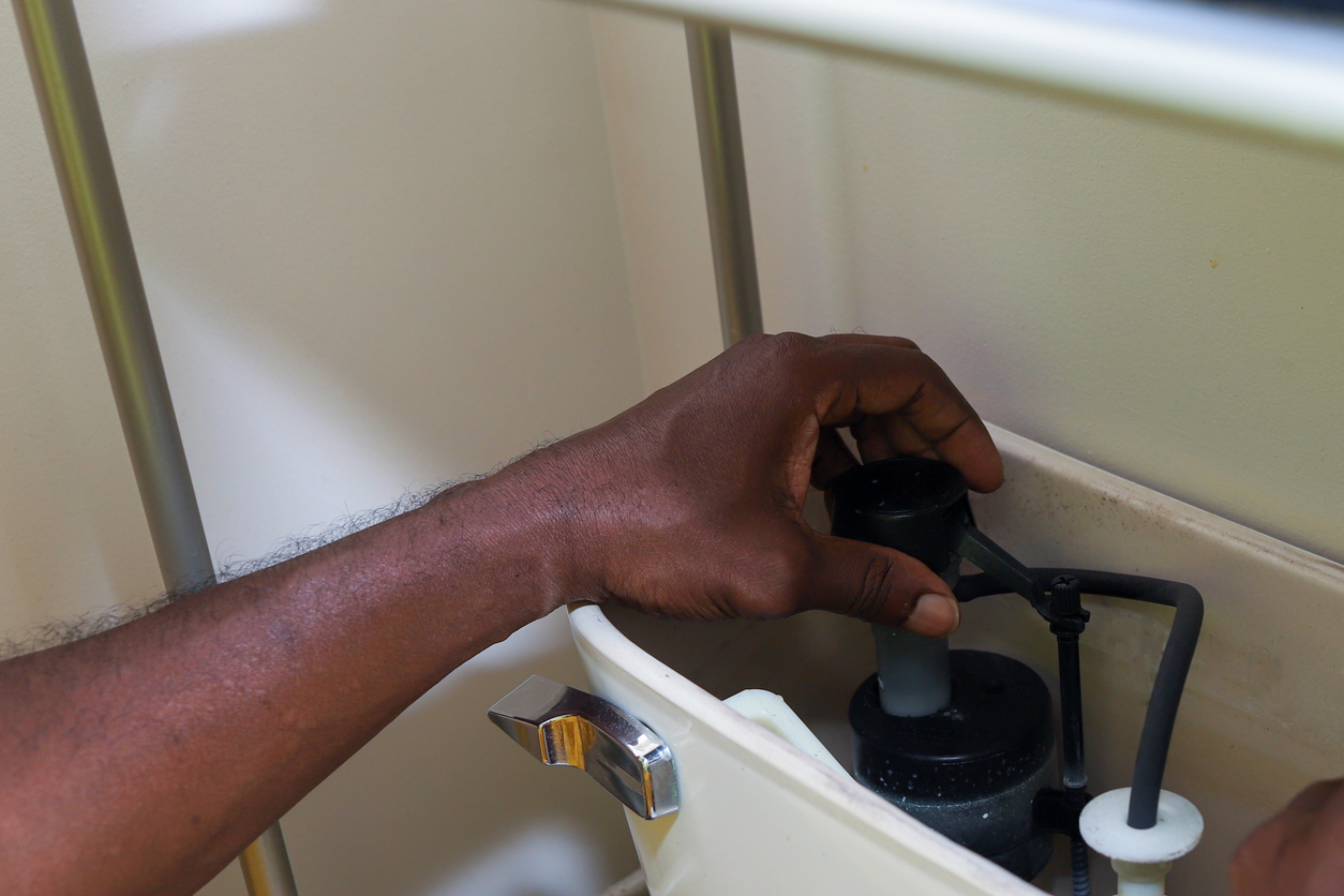 Newly installed modern toilet